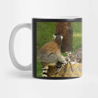 Lemurs Mug